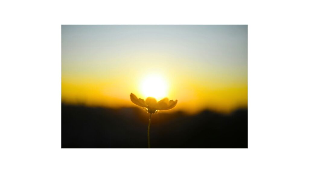 mental peace and positive living